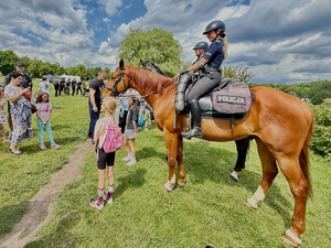 Zdjęcie przedstawia policjanta na koniu
